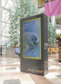 ý幫˾Ϊϰݽճǰװֱ,ýϢϵͳ,Ϣʾϵͳ,ֱ,ָʾ,digital signage