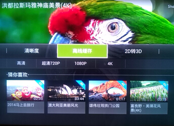 TV+H7800