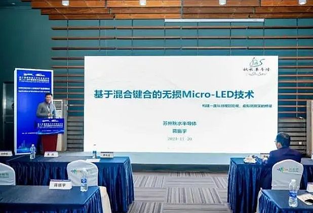 2024꣬Micro LED΢ʾٷչ׼2025