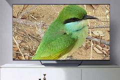 һ˵<font color='#FF0000'>OPPO</font>?TV?